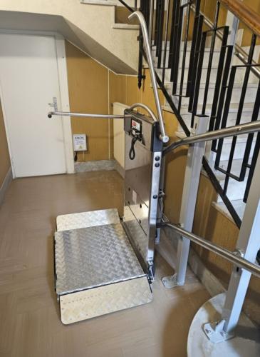 PLATAFORMA SALVAESCALERAS DE PIE PRECIO Y AYUDAS