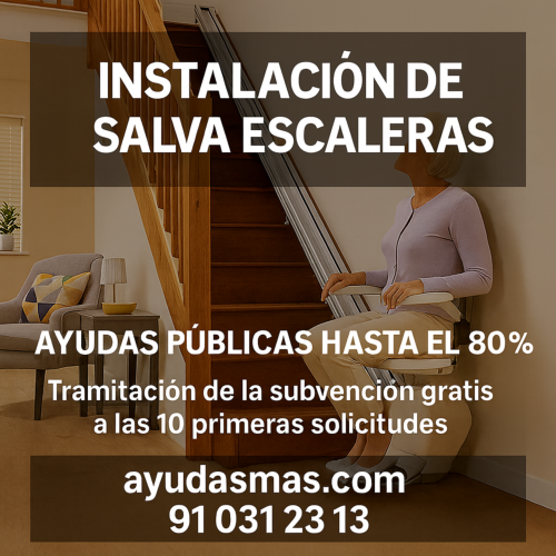 Salvaescaleras: una solucin esencial para la accesibilidad en el hogar